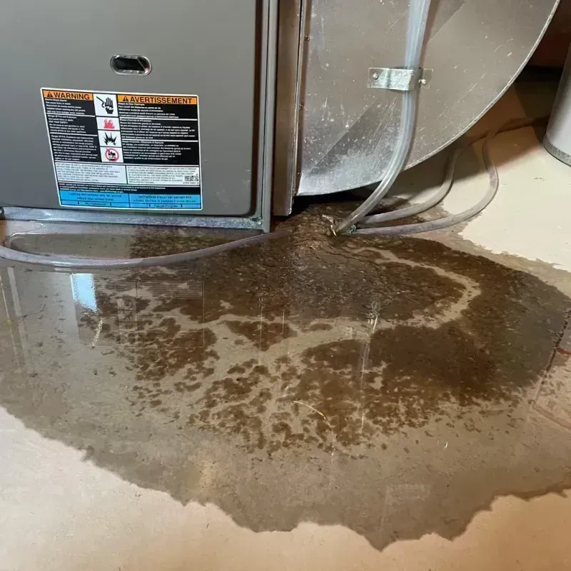 Appliance Leak Cleanup in Rye, NH